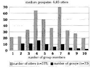 Graph showing that most of the 73 groups had 4 to 7 otters (average 4.85, total number of otters 375).  Click for larger version.