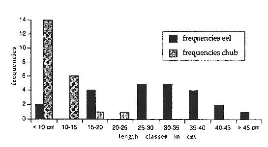 Graph showing that most chub were less than 10cm long, and none were more than 25cm long, whereas eels covered the whole size range up to 45 cm.  Click for larger version.