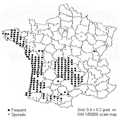 Map of France showing otters mainly occur in the central and western area