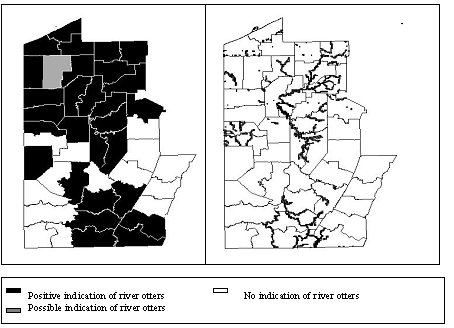 Maps of study area showing counties reporting otter sign, and rivers with reported otter sign