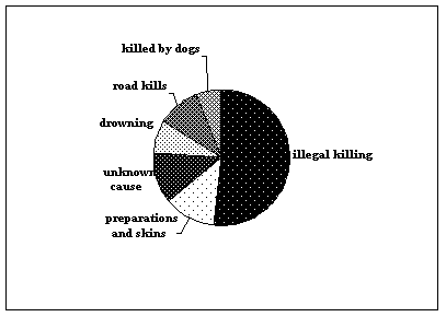 Pie chart of mortality types; more than half are illegal kills, with roughly equal amounts killed by dogs, road kill, drowning, taxidermy and unknown causes