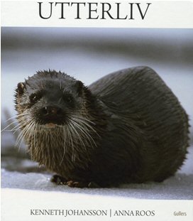 The front cover of the book - with a picture of an otter sitting looking at the camera