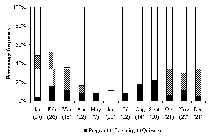 Graph showing that there are slightly more pregnant otters in Spring and August and fewer lactating otters in summer