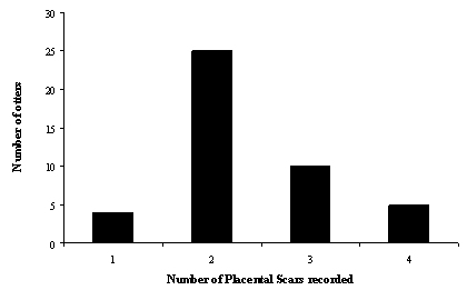 Graph showing that the vast majority of females had two planetal scars, whereas far fewer had 1, 3 or 4 scars