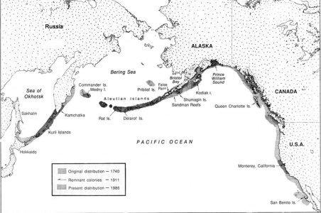 Map of the north Pacific Ocean showing the historical distribution of sea otters from California northward along the whole US/Canadian coast, alomng the Aleutian Islans, to Kamchatka, down to Hokaido, across its northern coast and up along the south east coast of Sakhalin Island.  Click for larger version