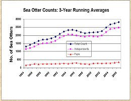Graph showing the number of sea otters plotted against years.  The number of pups increases very slowly from about 100 to about 400.  The number of adults rises from about 1100 in 1984 to 2000 in 1994, then plateaus till 2003, since when it has climbed slowly to 2600.  Because of low pup recruitment, the total population curve follows the adult curve closely.  Click for larger version