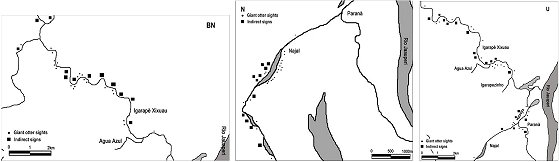 Maps of  the river system showing the sightings and signs for groups BN, N and U