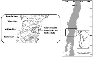 Map showing the location of hte study site approximately halfway down the country of Chile north-south and spanning the whole country east-west