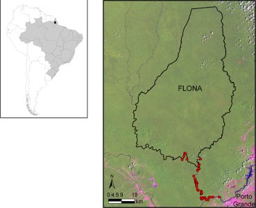 Map of South America showing Amapa state, which is in the extreme north east of Brazil, bordering French Guiana and the Atlantic.  The forest is roughly in the middle of the Amapa. The interviews were along the river exiting the forest at its' southernmost point (Click for larger version)