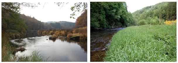 Photos of two stretches of otter-friendly rivers (click for larger image)