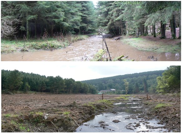 Photros of a stretch of river before and after deforestation (click for larger version)