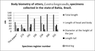 Graph showing measurements of the otters collected in Bahia: total length, head + body length, diameter of head at maxillary joint, length of tail and length of hind leg.  Click for larger version.