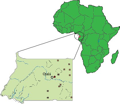 Map of Africa showing the position of Equatorial Guinea on the west coast of Africa.  Inset shows the country with the location of Oyala, the camera trap loation just east of it, and the distribution of observed otter tracks in the eastern half of the country.  Click for larger version.
