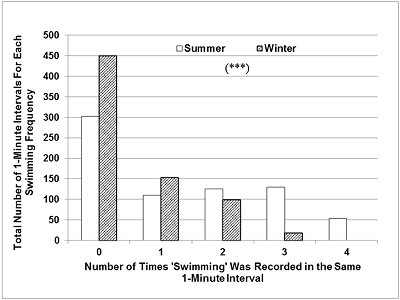 Chart showing that swimming bouts lasted longer in summer.  Click for larger version.