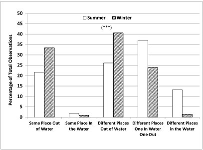 Chart showing that the otters are more likely to be in the same place on land in the winter, but different places in the water, whereas in summer, one is likely to be in the water and the other out; if they are both in the water, they will be in different places.  In both seasons, they are rarely together in the water.  Click for larger version.