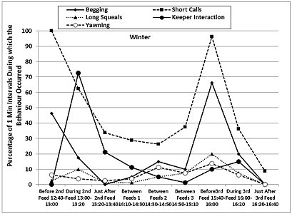 Chart showing that the pivotal events are feeds.  All event behaviours in winter peak during feeds and between feeds observational frequency is much lower. Click for larger version.