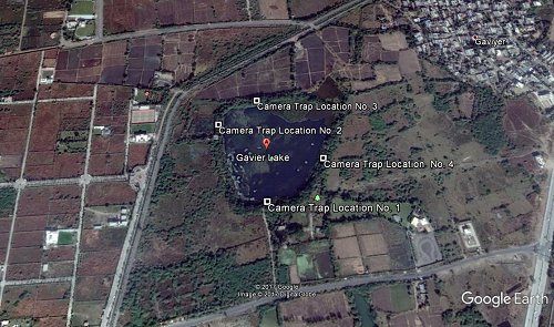 Google Maps satellite image of the study area.  In the centre is Gaview Lake, which is trianglular.  At the top right is Gaviyer village.  The landscape has roads, drainage canals and cultivated fields.  Camera trap 1 is at the south point of the lake, 2 is near the top left corner, 3 is halfway along the top edge and 4 is halfway down the right side.  Click for larger version.