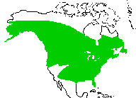 Map of North America showing these otters are found from the Mexican border to the Arctic Circle