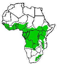 Map of Africa showing species found in all sub-Saharan Africa apart from desert areas