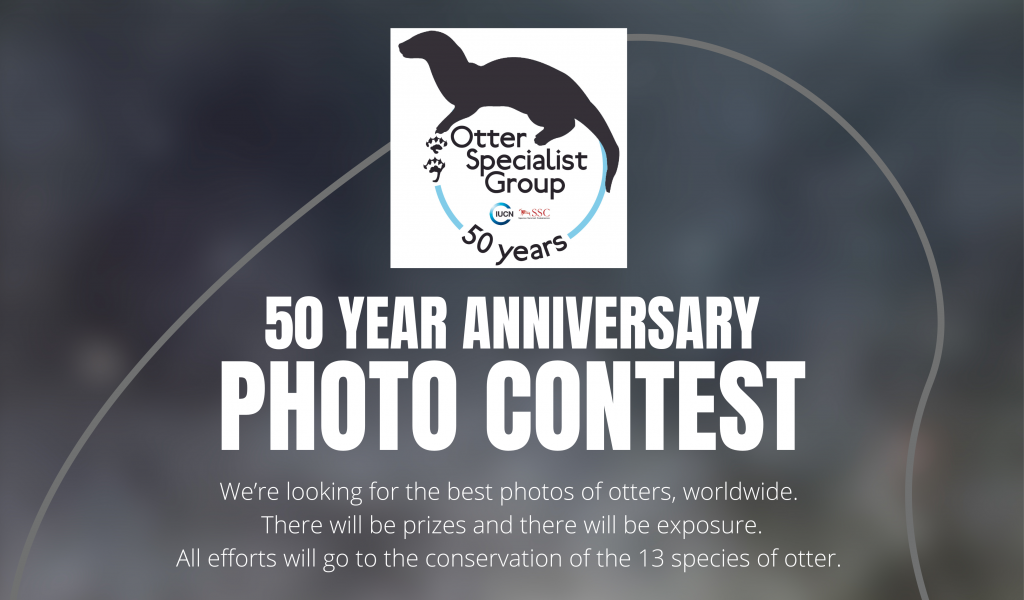 50 Year Anniversary Photo Contest | IUCN SSC Otter Specialist Group